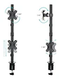 Tooq DB1233TNV-B Soporte mesa 2 brazos vertical - Miniatura 2
