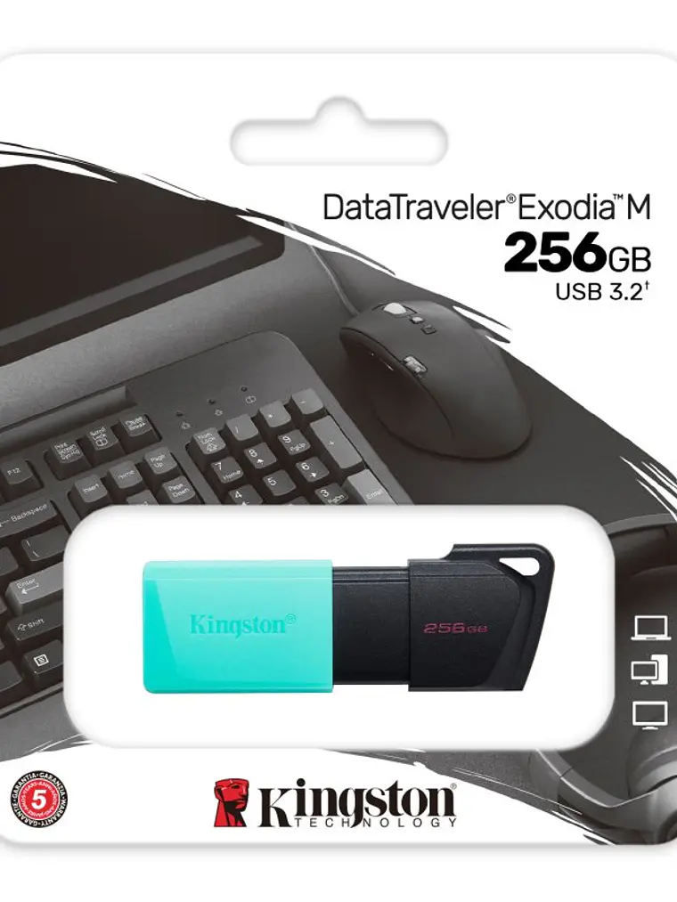 Kingston DataTraveler DTXM 256GB USB 3.2 Gen1 Turq 3
