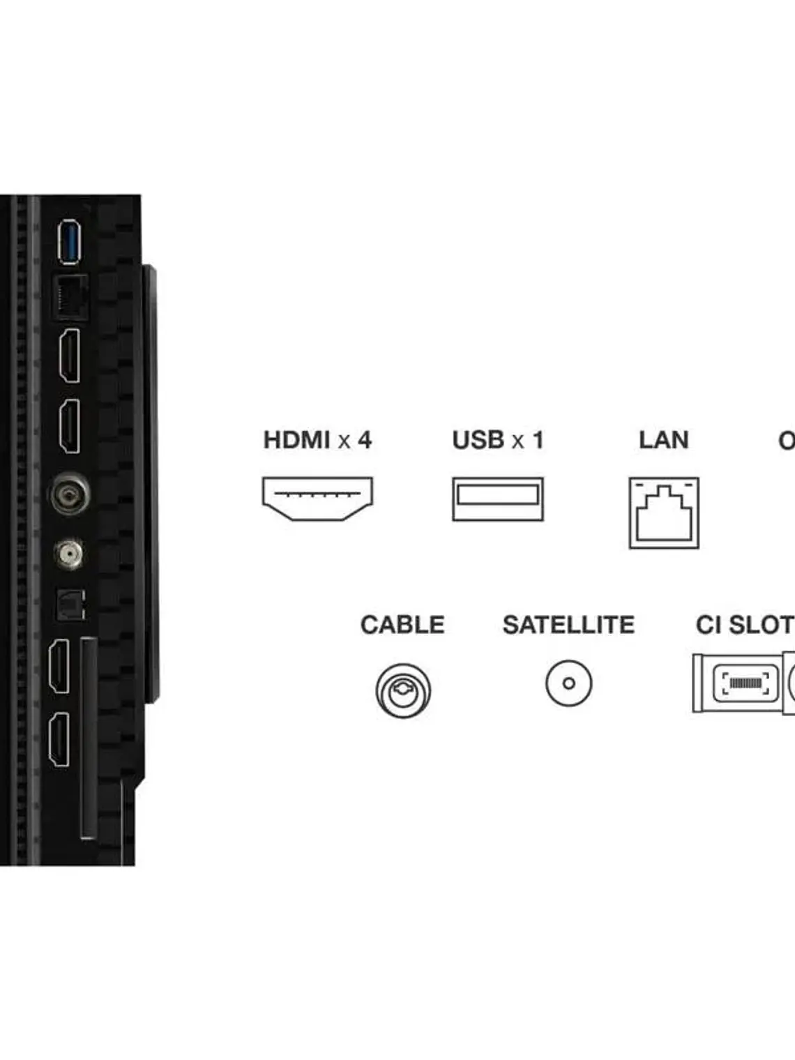 TCL 55P8K TV 55