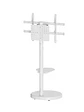 EWENT EW1550 Soporte Movil Suelo para TV hasta 86