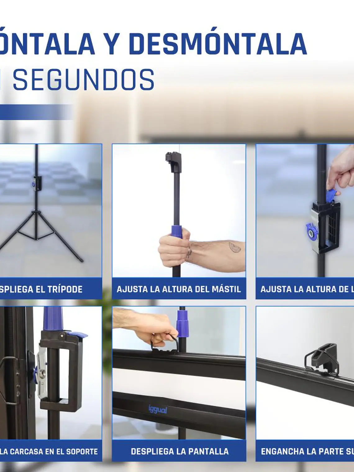 iggual Pantalla 100