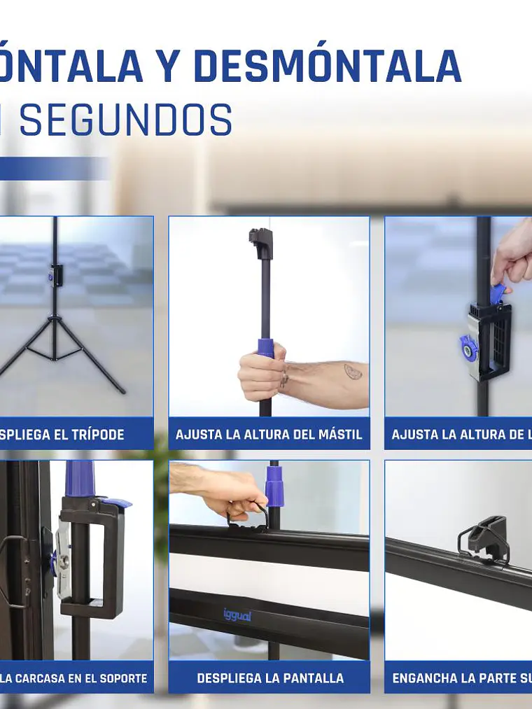 iggual Pantalla 100