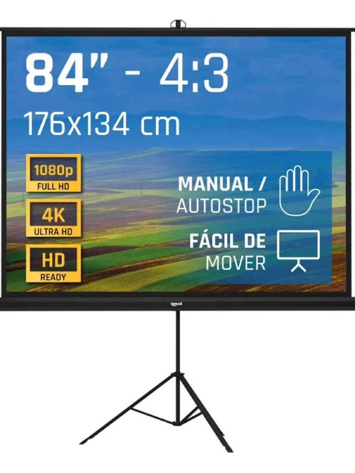 iggual Pantalla 84
