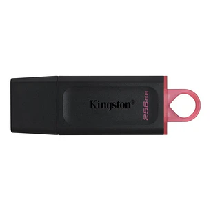 Kingston DataTraveler DTX 256GB USB 3.2 Gen1 Negro