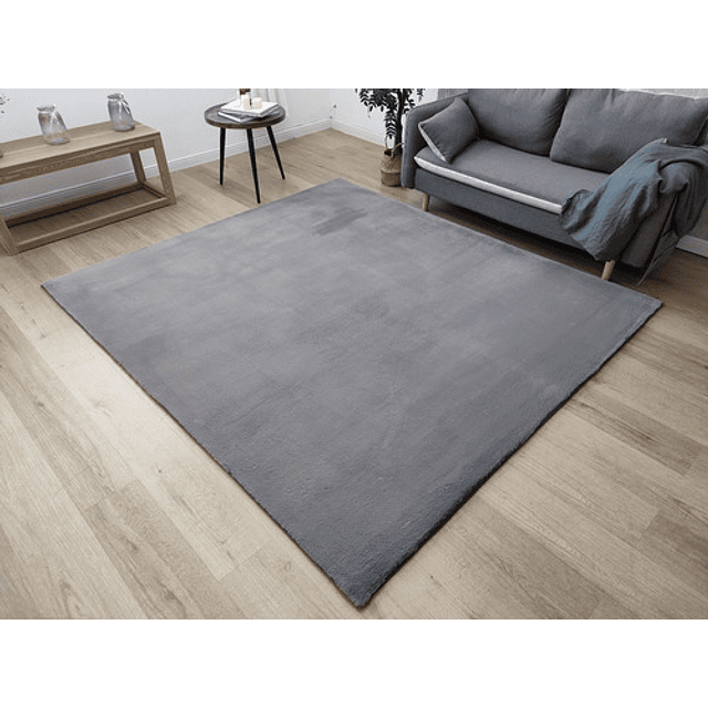 Alfombra Timmy Peluda Extra Suave Living Color Gris 200x220