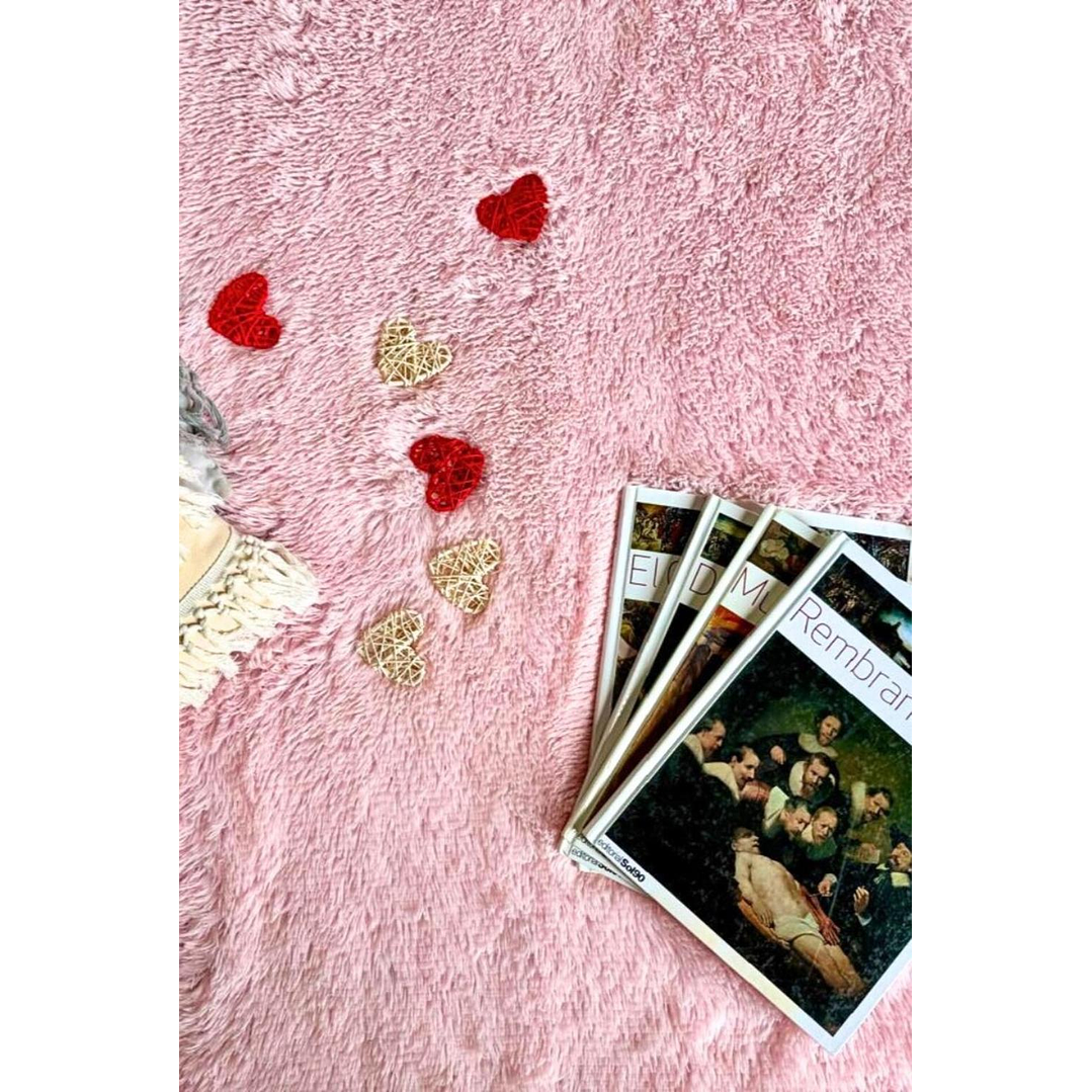 Alfombra Peluda Shaggy Rosa 200x220 Clems 7