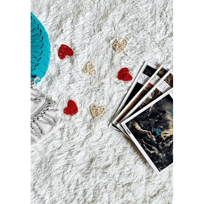 Alfombra Peluda Shaggy Crema 200x220 8