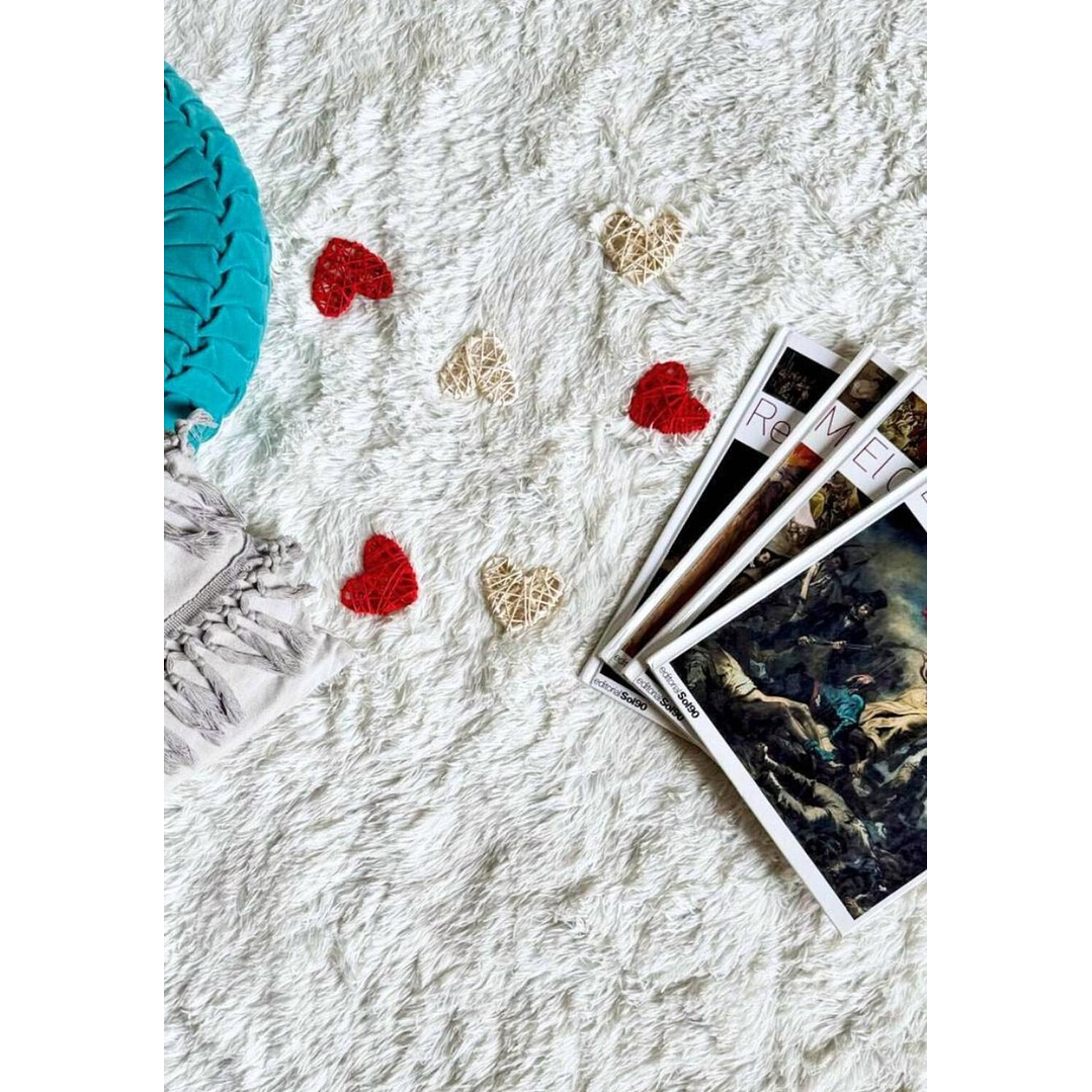 Alfombra Peluda Shaggy Crema 150x200 Clems 8