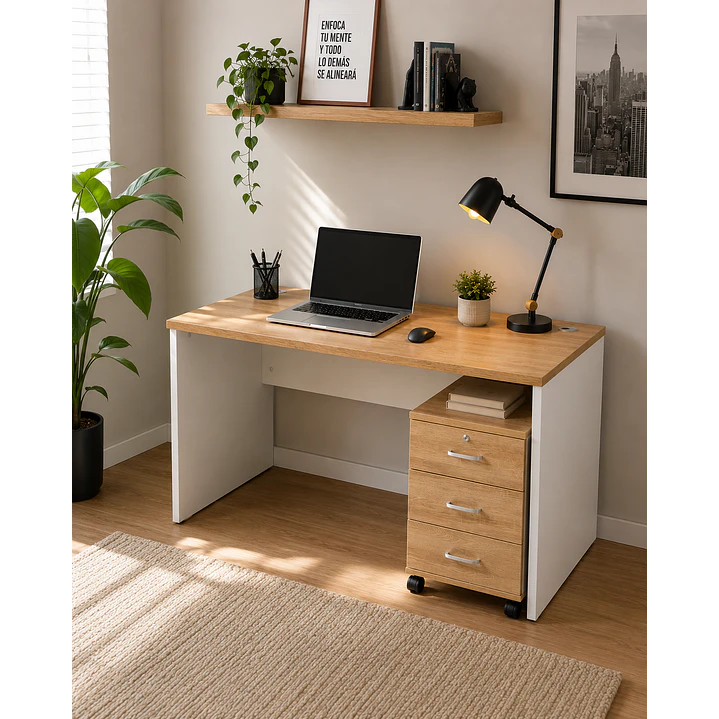 Escritorio de Oficina Mesa de Trabajo Con Cajonera 1