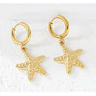 Aretes estilo arracadas colgantes en forma de estrella en acero inoxidable 1