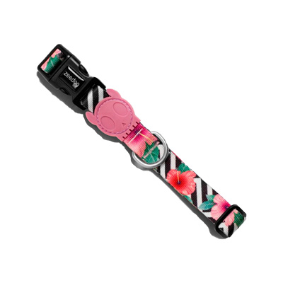 Collar ZeeDog Mahalo
