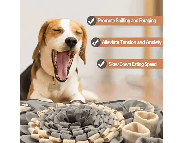 Alfombra Olfativa Amarilla