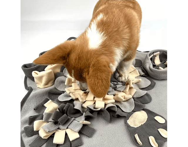 Alfombra Olfativa Bicolor