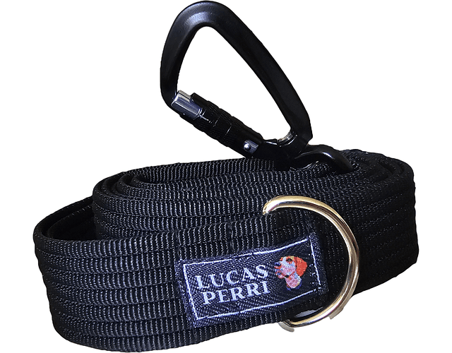 OFERTA: Correa Negra gruesa 1,7mts