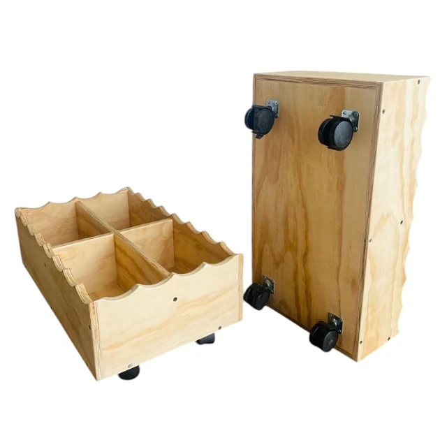 CAJA ORGANIZADORA