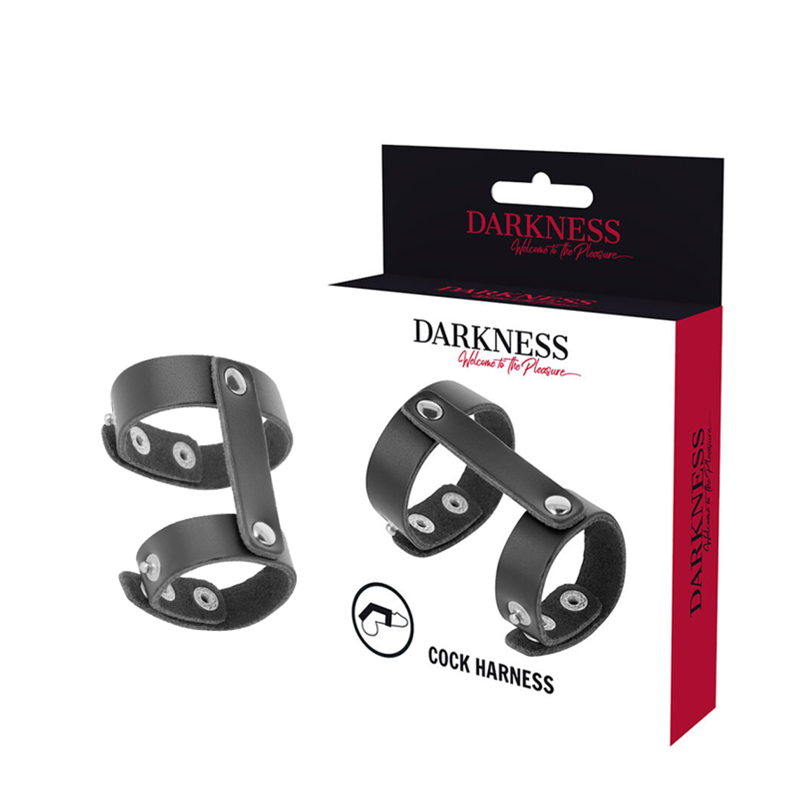 DARKNESS - ANEL DE PÉNIS E TESTÍCULOS AJUSTVEIS EM COURO 1