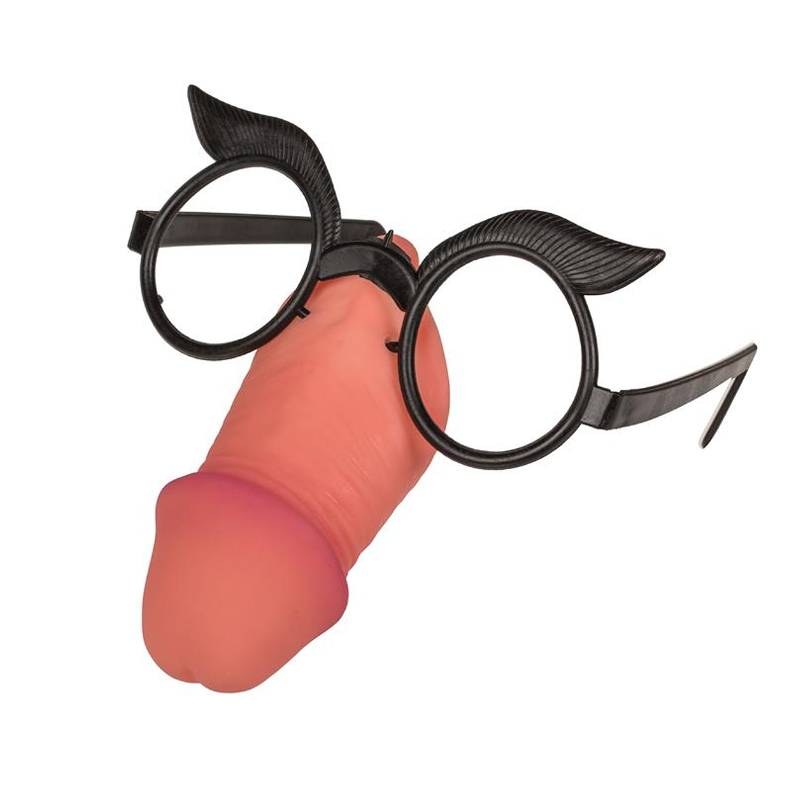 Penis Fun Glasses 1