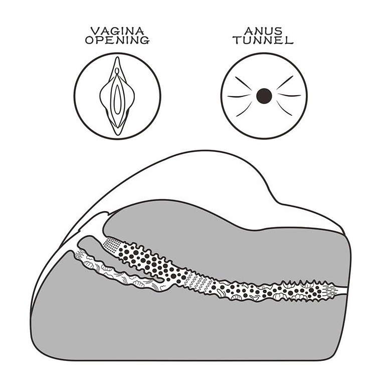 Masturbator Streetgirls 3 7