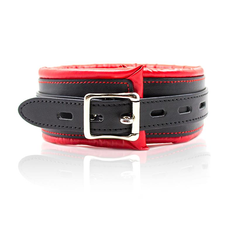 Collar With Metal Leash Padded Interior Red/Black 3