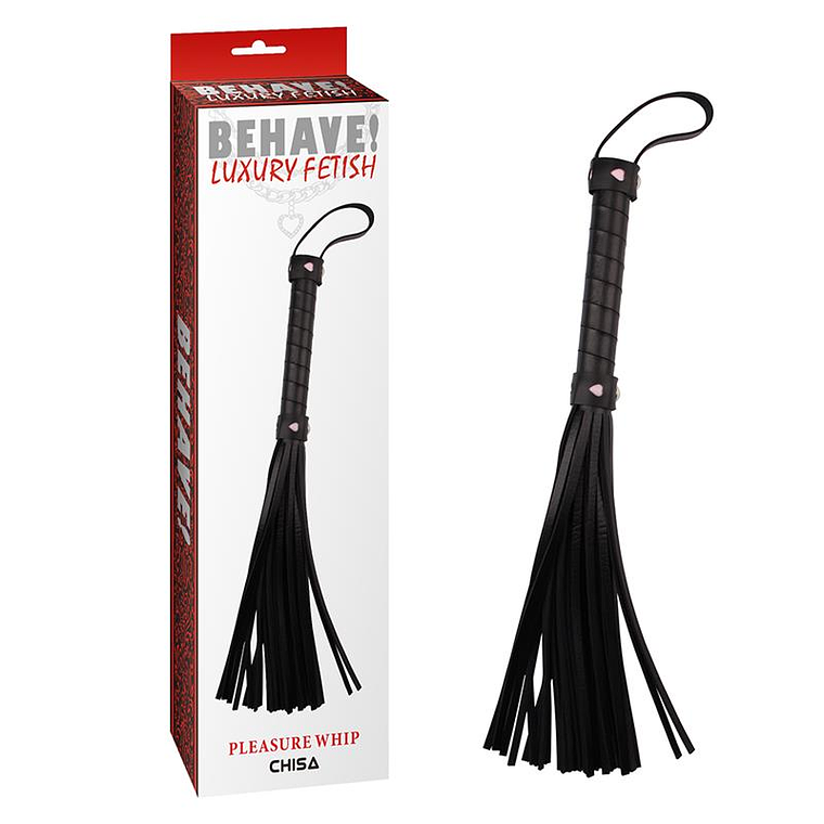 Flogger Pleasure 1