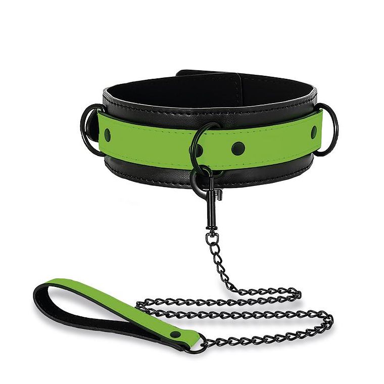 Glow in the Dark Collar with Leash 3