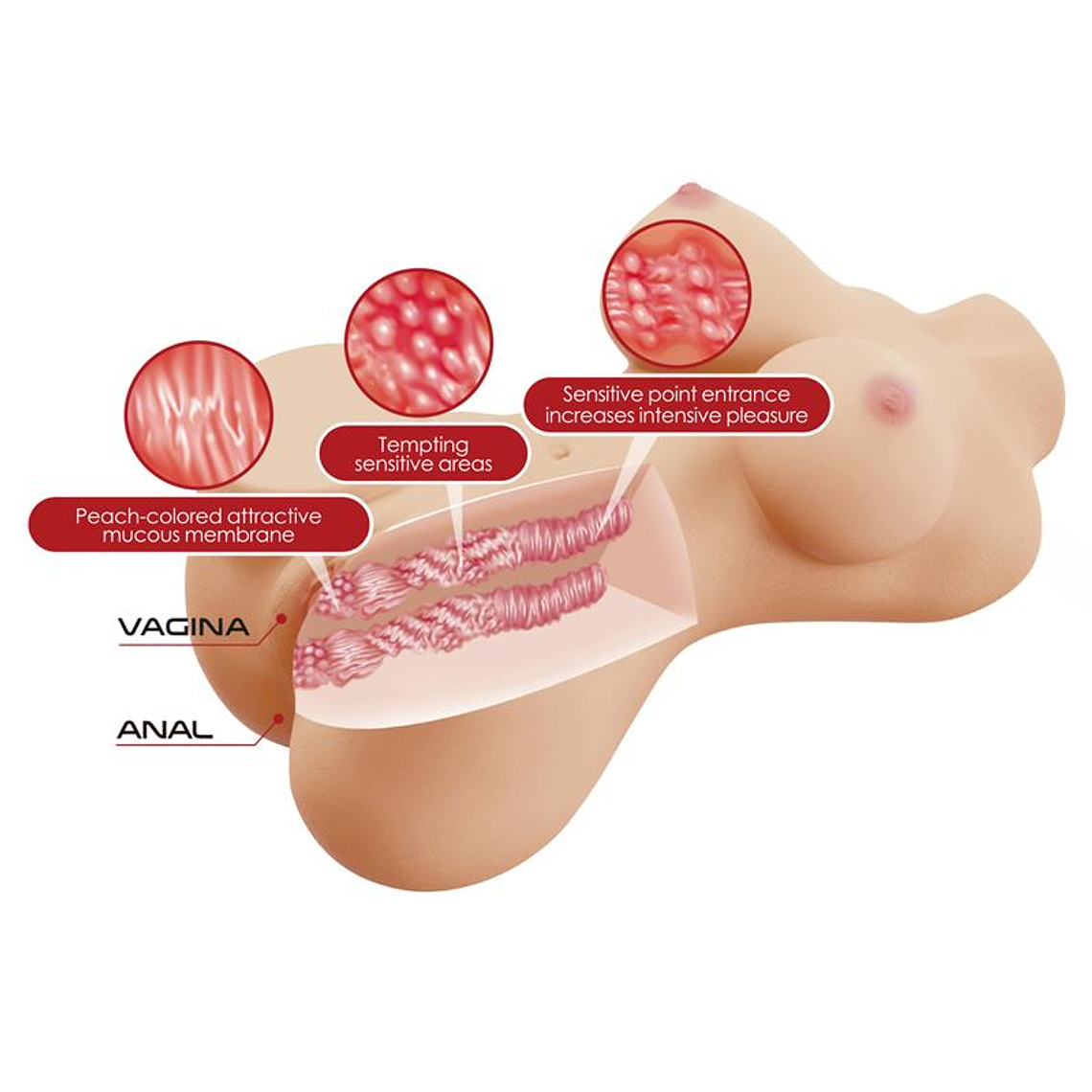 Masturbator Vagina and Ano 1.9kg 6