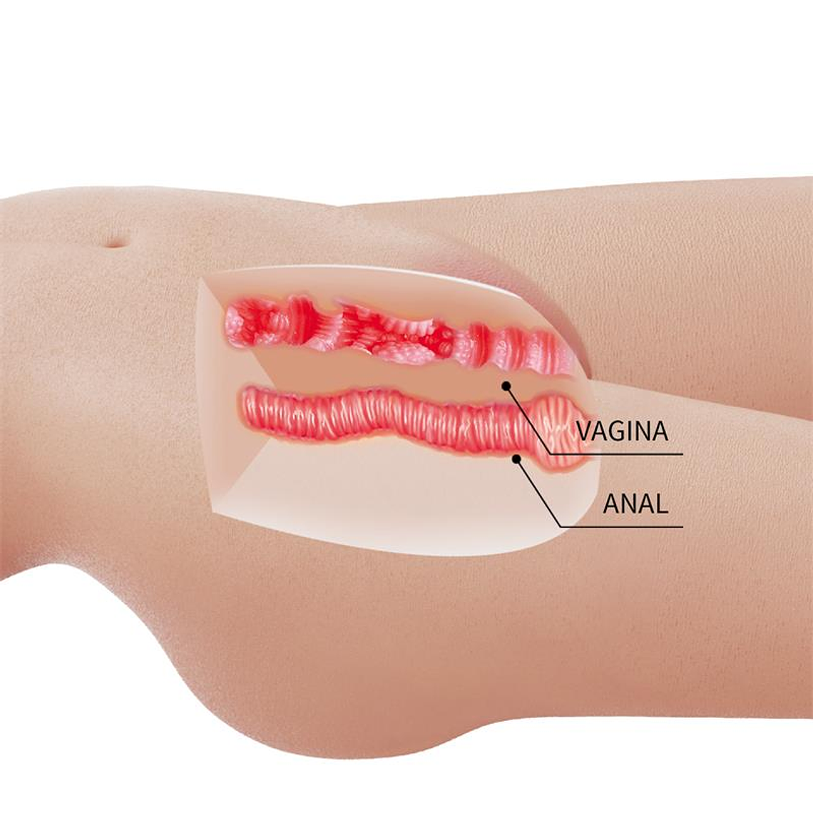 Marturbator Replica 8.5kg 6
