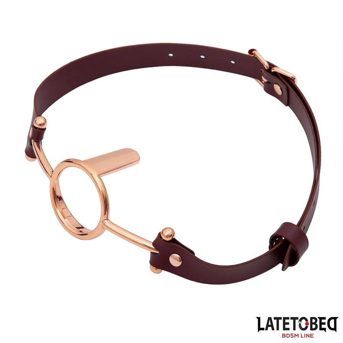 Leather O Ring Gag 1