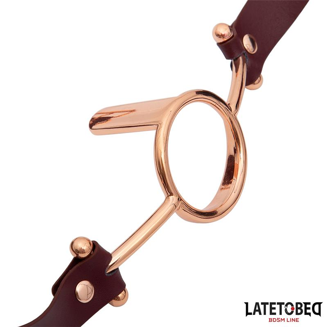 Leather O Ring Gag 3