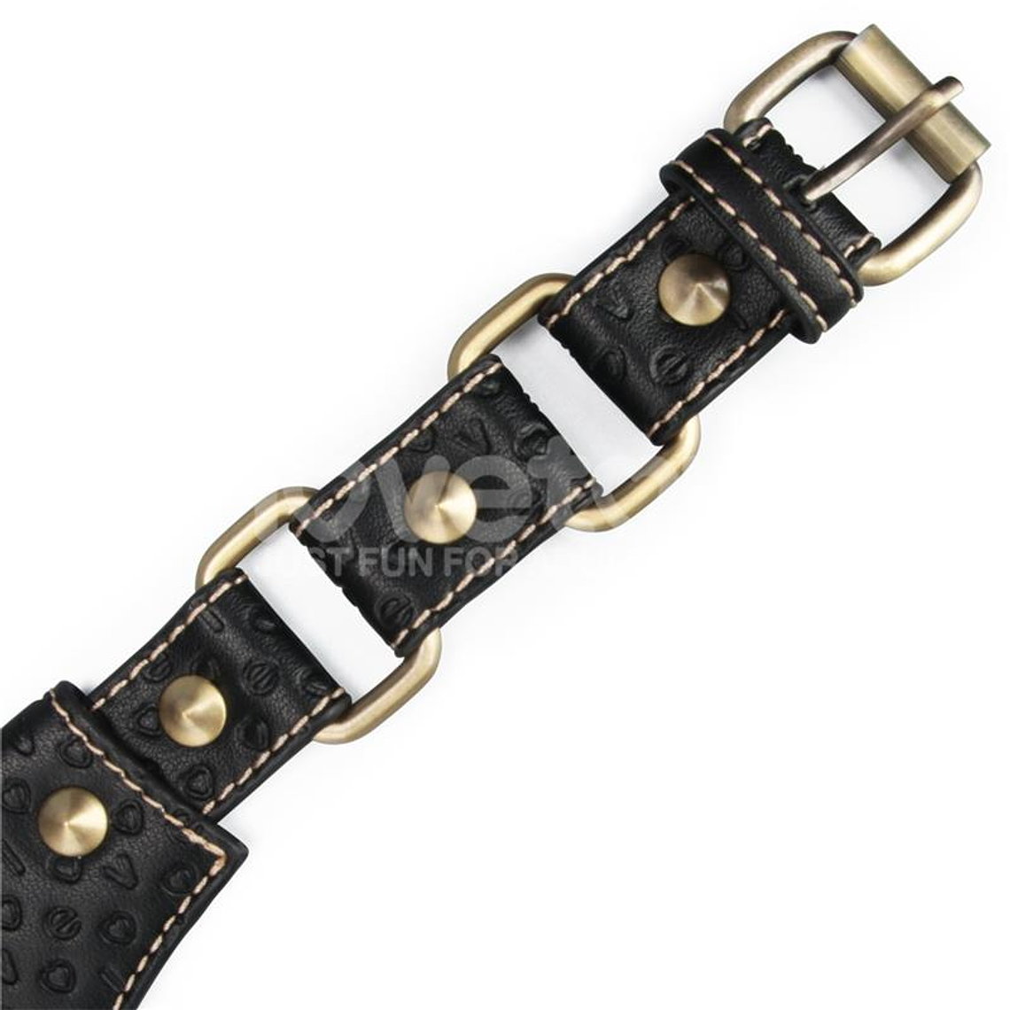 Rebellion Reign Collar with Chain 5