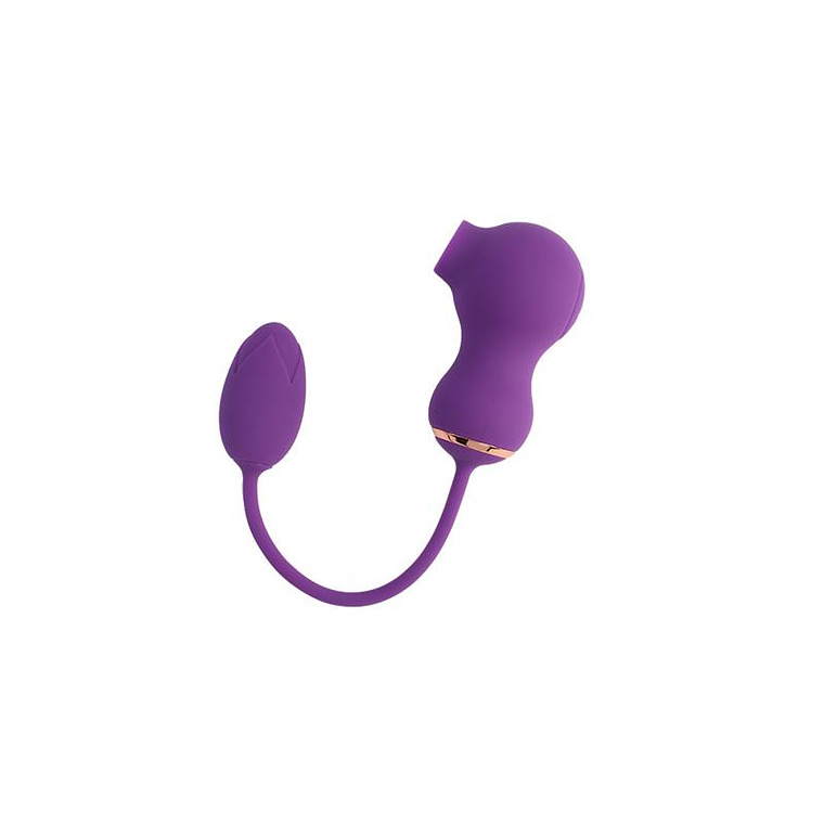 Rusher Clitoris Sucker and Vibrating Egg 2