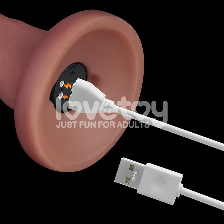 Dual Density Dildo with Vibration 8 13