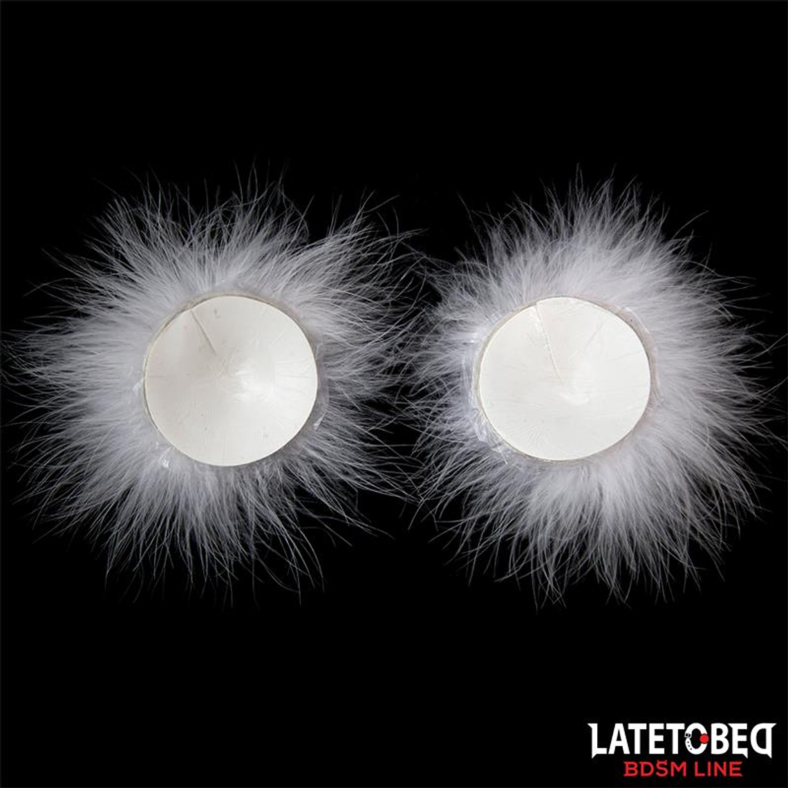 Nipple Covers with Feather 2