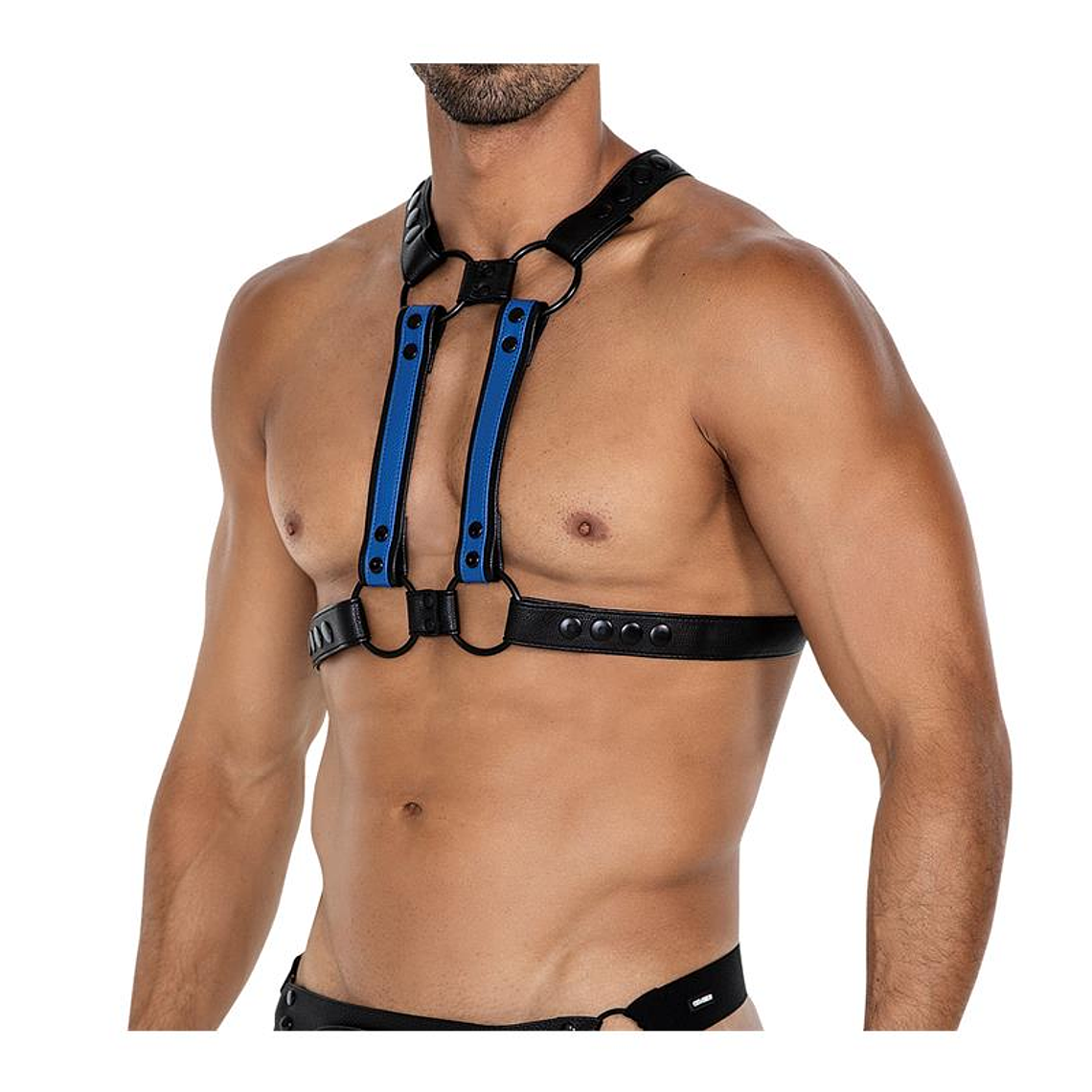 H4RNESS06 Chest Harness 4WAY Radiant Blue One Size 4