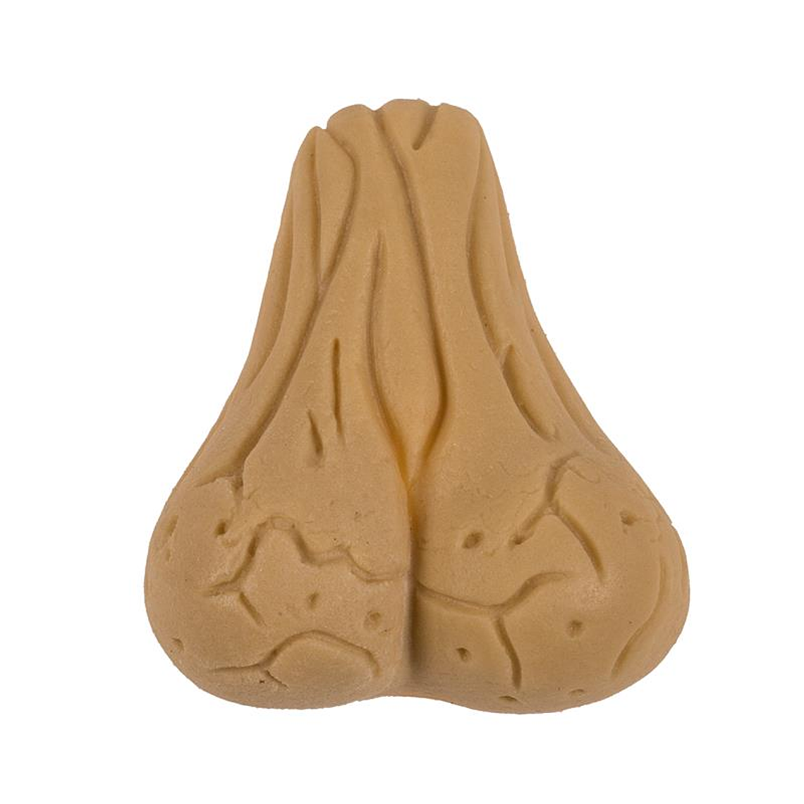 Growing Testicle 4x3 cm 2