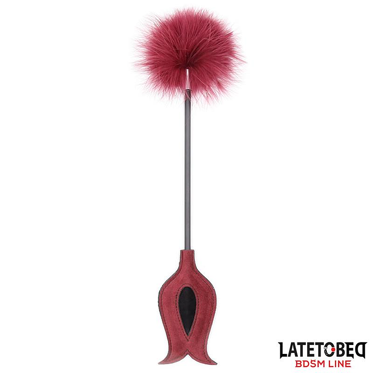 Feather Tickler and Rose Shape Paddle 1