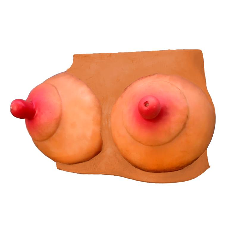 breast-shaped piggy bank 1