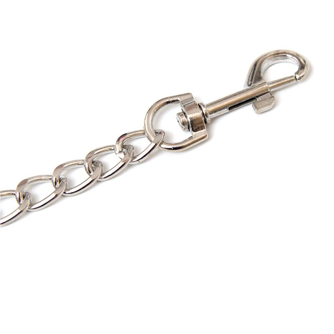 Metal Chain Leash 2