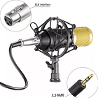 Micrófono De Grabación Profesional Condensado Unidireccional  2