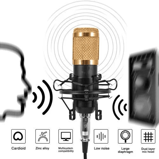 Micrófono De Grabación Profesional Condensado Unidireccional  5