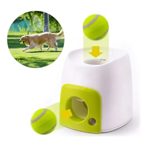 Lanzador Automático De Pelotas Perros Juguete Interactivo  CN  1