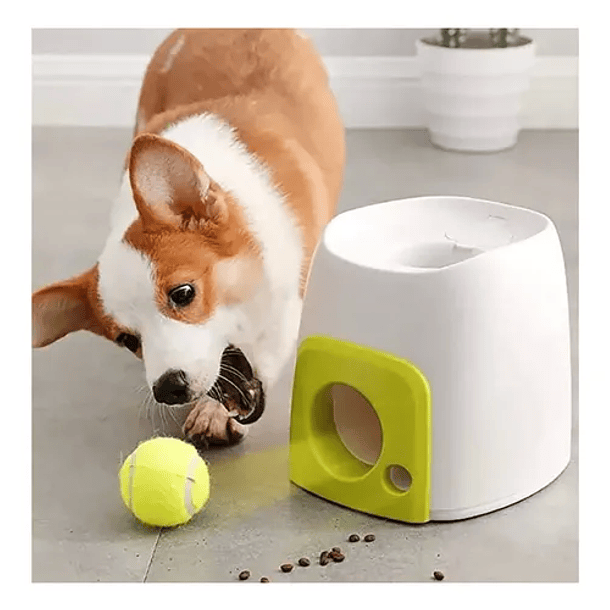 Lanzador Automático De Pelotas Perros Juguete Interactivo  CN  4