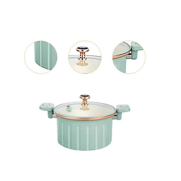 Olla Micropresurizada De 10 Litros 22 CM  Resistente Al Calor NL -2833 2