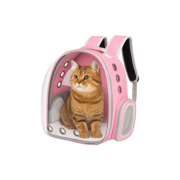 Mochila Transporte Para Mascotas Transparente  2