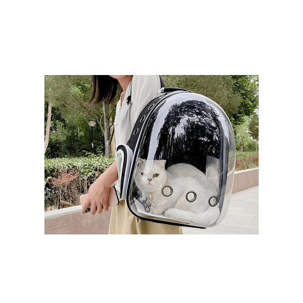 Mochila Transporte Para Mascotas Transparente  5