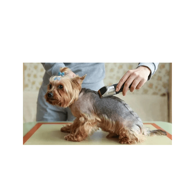 Kit Máquina Cortapelo Mascotas Recargable Variado 2