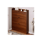 Zapatero Organizador De Entrada Moderno 7