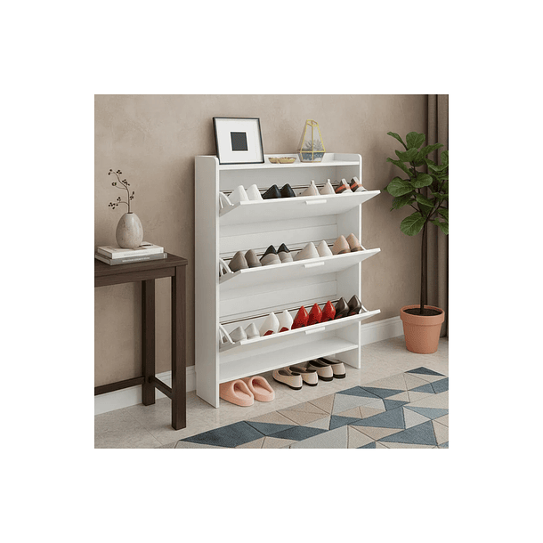 Zapatero Organizador De Entrada Moderno 9