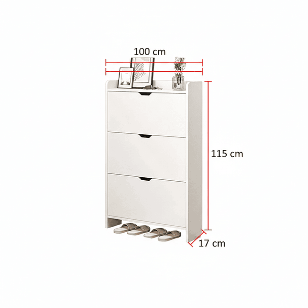 Zapatero Organizador De Entrada Moderno 10