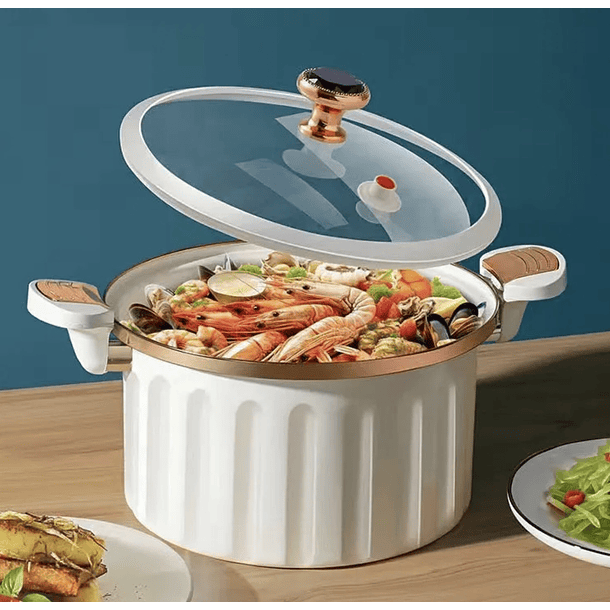 Olla Micropresurizada De 10 Litros 22 CM  Resistente Al Calor  1